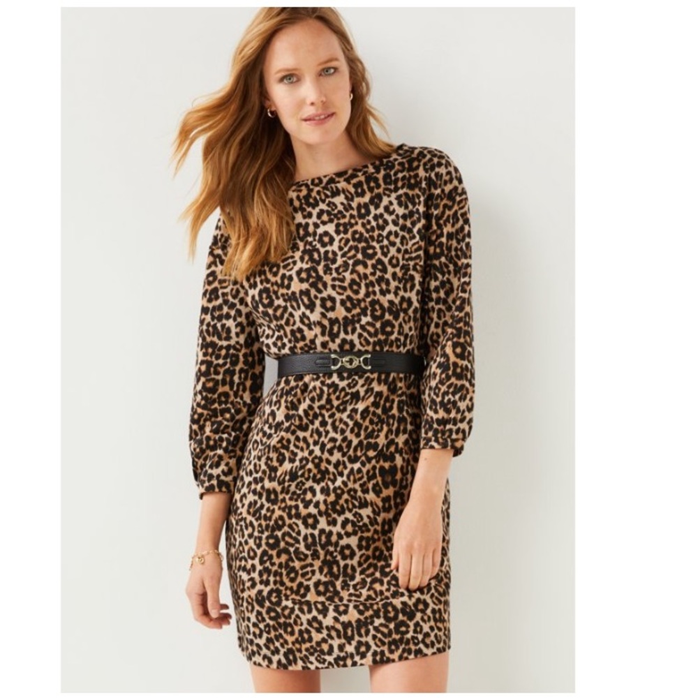 NWT C Wonder Leopard Shift Dress Small